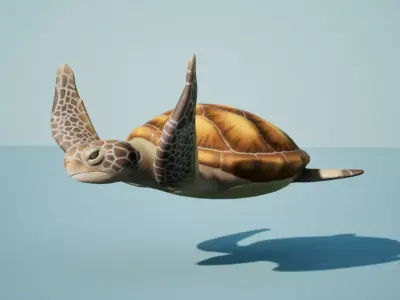 Sea turtle Low-poly 3D model 3