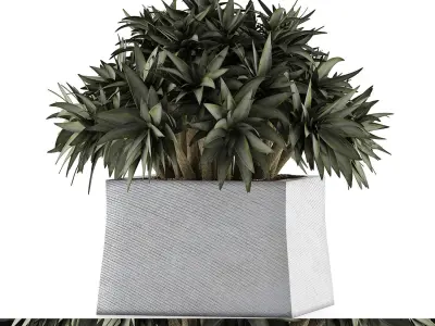Plants Collection 51 3D model