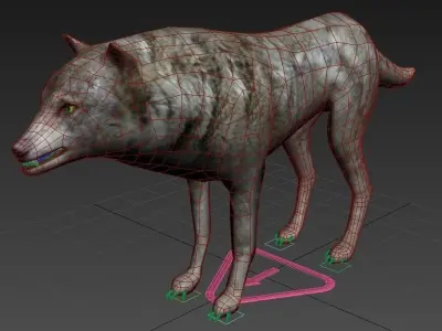 Gray Wolf Low-poly 3D model buy