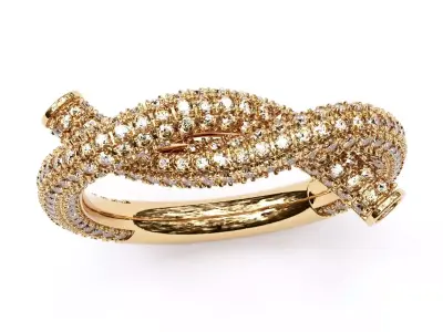 Luxury Fancy Ring 3D print model