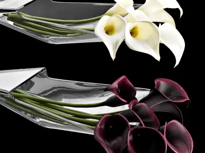 Vase Callas Baccarat 3D model