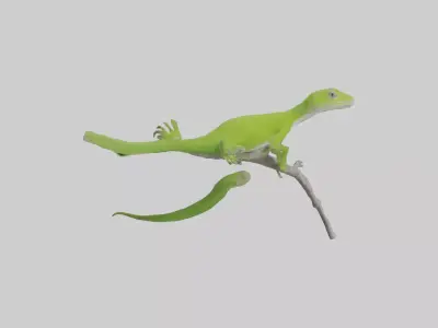 Green Anole climbing model Low-poly 3D model