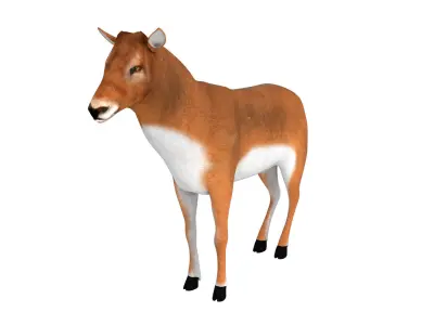 Deer Rigged and Animated 3D model