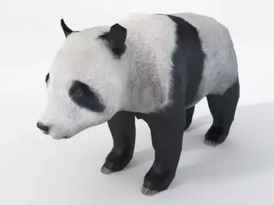 Panda bear Low-poly 3D model order