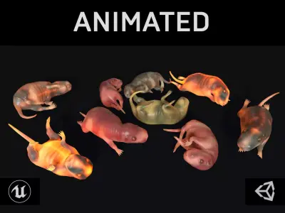 Cub Rat Low-poly 3D model