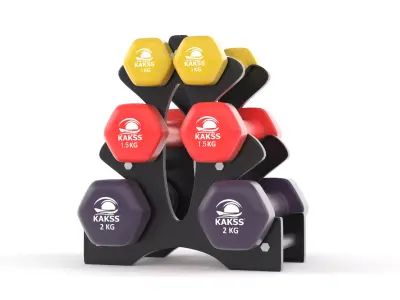 Fitness Dumbbell Set 3D model