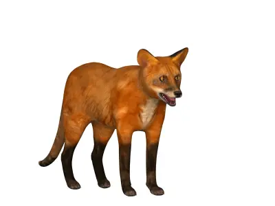 Red Fox Karaganda Low-poly 3D model