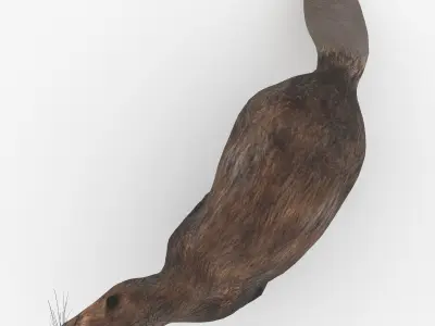 Beaver 3D model