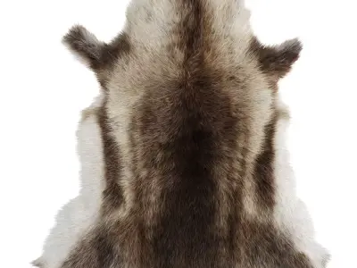 Reindeer skin carpet 3D model