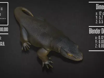 Realistic Komodo Dragon Model 3D model