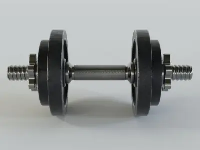 Dumbbell pair of dumbbells 3D model