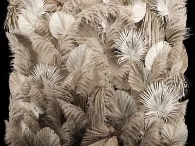 Wedding Decor Arch Wall Dried Flowers Pampas Grass 3D model