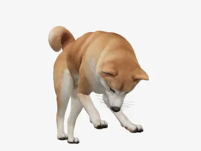 dog akita Low-poly 3D model