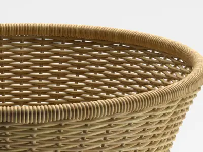 Decoration 38 rattan 3D model
