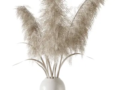 Pampas grass bouquet 3D model