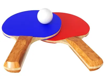 Ping Pong 3D model