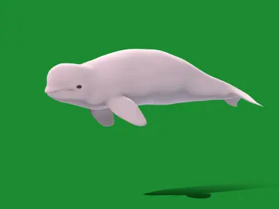 Beluga Whale Low-poly 3D model