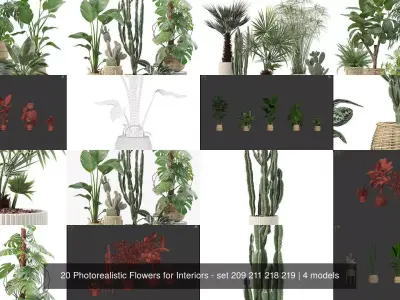 20 Photorealistic Flowers for Interiors - set 209 211 218 219 3D Model Collection