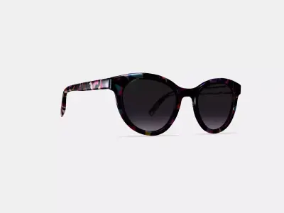 Raina Sunglasses in Confetti Tortoise 3D model