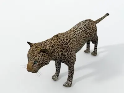 Leopard Low-poly 3D model purchase