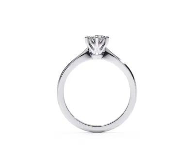 My 018 Wedding lady ring 3D print model