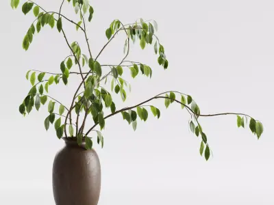 Plant in vase - Morus branch 3D model
