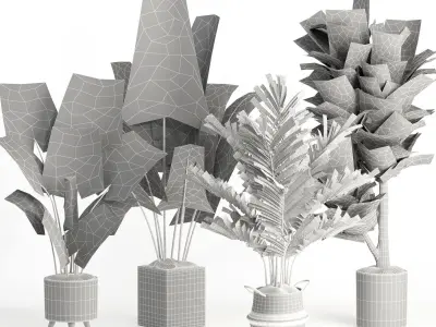 indoor plant set009 collection 3D model