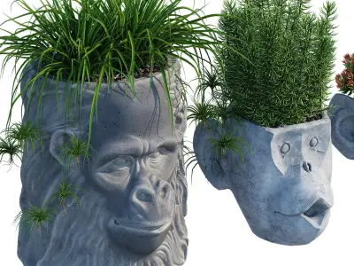 Monkey Head 3D model