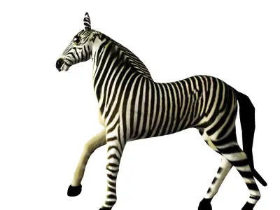Zebra Rigged and Animated Low-poly 3D model