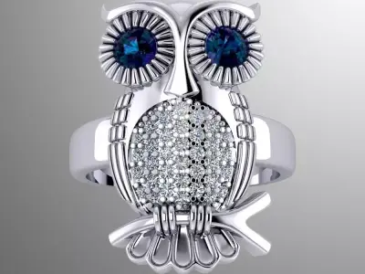 Ring k 4 owl 3D print model