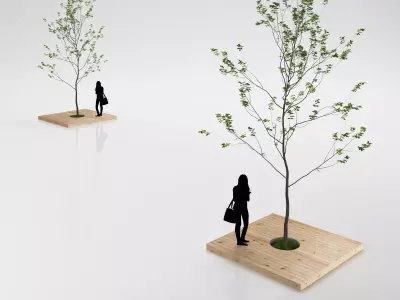 Minimalistic young tree on wooden base 3D model