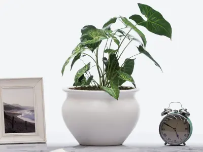 Meeting Table 3D model