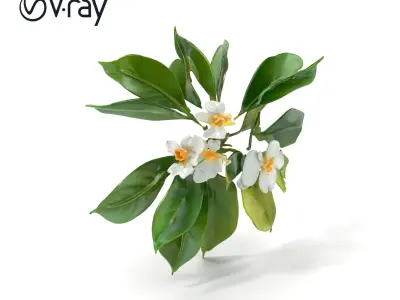 Modern Copper Ceiling Fixture Model Pack Low-poly 3D model