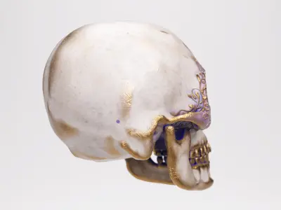 Sculpted gold Skull Low-poly 3D model