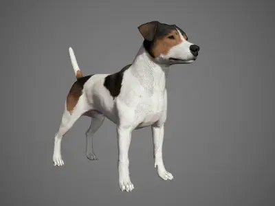 Jack Russell Real-Time Low-poly 3D model