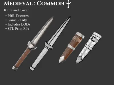 Medieval Collection Weapons Knives