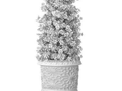 Decorative luxury Magnolia tree oriental Arabic in  garden vase 3D model