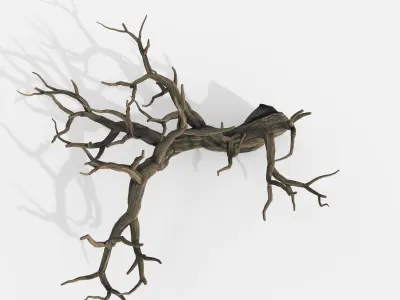 Aquarium Snag V22 3D model