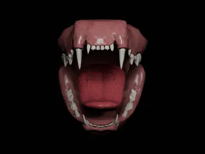 Cat Teeth Low-poly 3D model