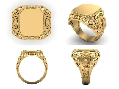 Ring bi111 3D print model
