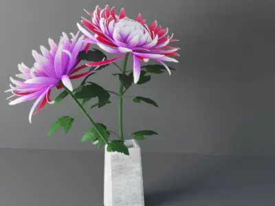 Chrysanthemum Flower 3D model