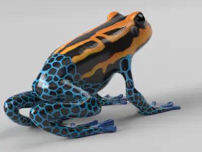 Poison Dart Frog Animated Low-poly 3D model
