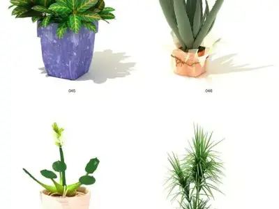 indoor plant models 3D model