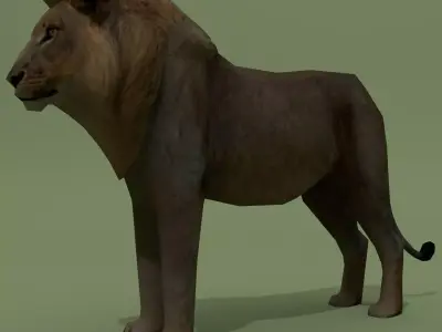LowPoly Lion Low-poly 3D model