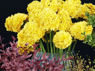 decorative plants collection vol 34-3d models