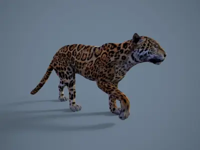 Jaguar Low-poly 3D model