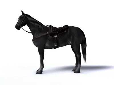 Black horse with saddle and bags Low-poly 3D model