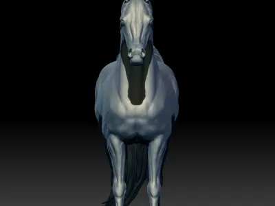 Arabian Horse 3D print model