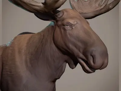 Moose low poly model Low-poly 3D model