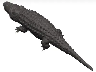 Alligator 3D model shop